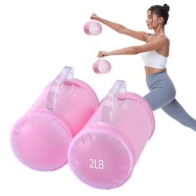 Water Filled Training Weights Set, Travel Weights, Adjustable Weights Dumbbells to 4 Lbs/Pair, for Strength Training (Weights: 2LB pink barrel dumbbell pair)