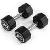 Octagon Dumbbell for Commercial & Household Fitness Usage
